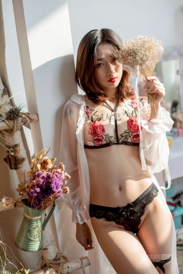 宝岛少女成功记